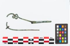 Foto von Bronzeschlangenfibel (NHMW-PRAE-026559)
